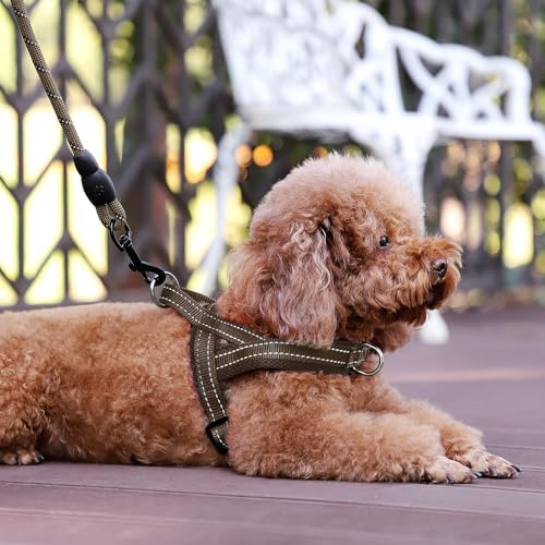 Plutus Pet No Pull Dog Harness with Front Clip, Breathable Mesh Padded - Image 6