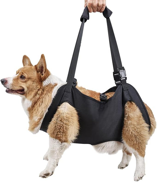 Dog Lift Harness,Full Body Dog Sling Carrier with Handle,Total Body Support for Dogs,Pet Dog Leg Support Sling Adjustable Retractable Breathable Lift Harness (L) by XUANNIAO