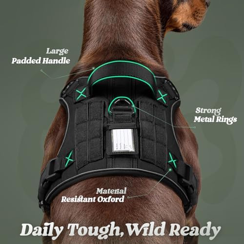 rabbitgoo Tactical Dog Harness for Small Dogs, No Pull Service Pet Vest - Image 6
