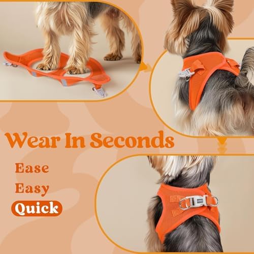 rabbitgoo Step-in Small Dog Harness, Puppy Vest for Small Sized Pet - Image 5