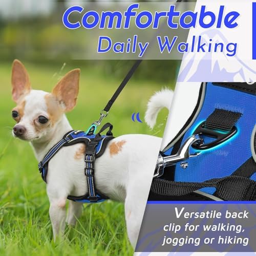 Eagloo Dog Harness for Small Dogs, No Pull Pet Vest with 2 Leash Clips - Image 3