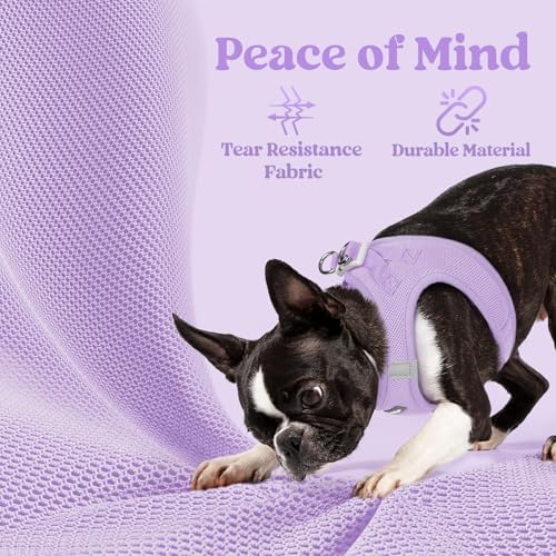 rabbitgoo Step-in Small Dog Harness, Puppy Vest for Small Medium Sized Pet - Image 4