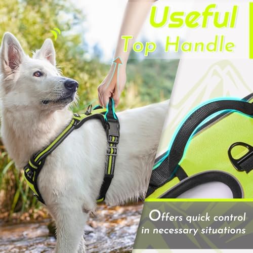Eagloo Dog Harness for Large Dogs, No Pull Pet Vest with 2 Leash Clips - Image 4