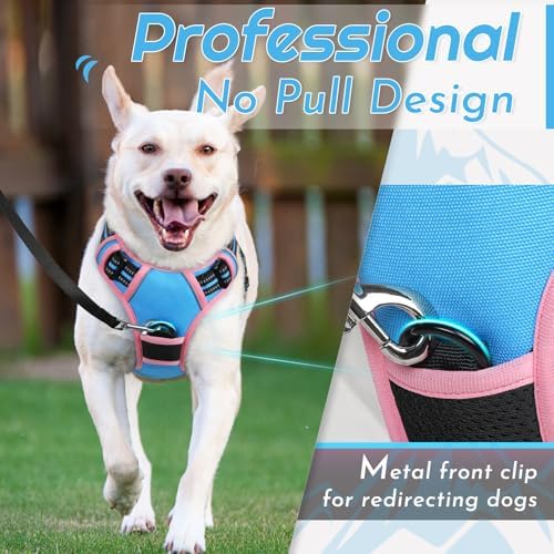 Eagloo Dog Harness for Medium Sized Dogs, No Pull Vest with 2 Leash Clips - Image 2