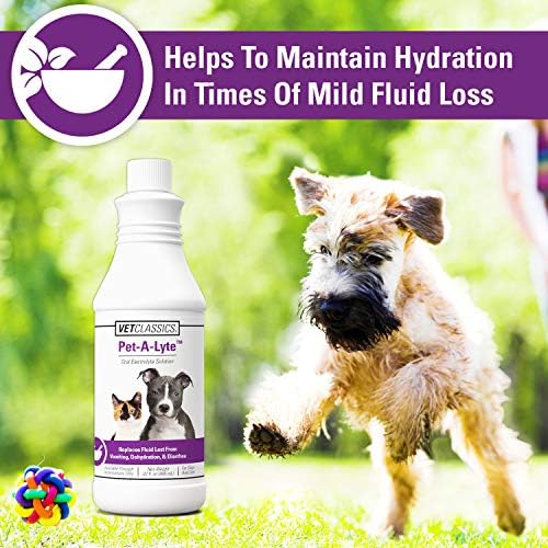 Vet Classics Pet-A-Lyte Oral Electrolyte Solution for Dogs & Cats - 32 Oz - Image 3
