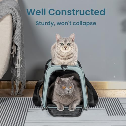 19 x 12 x 12 Large Cat Car Carrier – Roomy Escape-Proof Cat Car Seat for Safe Driving, Lockable Zippers & Safety Tether, Soft-Sided Travel Carrier for Road Trips & Vet Visits - Image 7