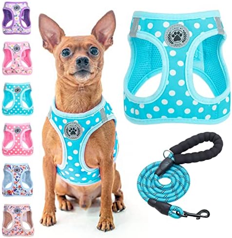 BEAUTYZOO Small Dog Harness and Leash Set,No Pull Puppy Pet Vest- Polka,2XS by BEAUTYZOO