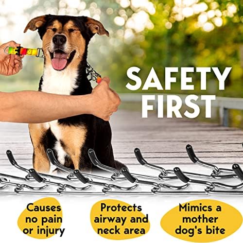PetJett Prong Collar for Dogs - Choke Collar for Dogs, Pinch Collar for Dog Adjustable No Pull Safety Dog Training Collar for Small Medium Large Breed - Durable Stainless Steel Metal Choker Chain - Image 3