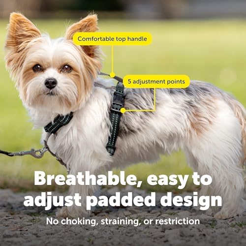 PetSafe 3 in 1 No-Pull Dog Harness - Walk, Train or Travel - Helps Prevent Pets from Pulling on Walks - Seatbelt Loop Doubles as Quick Access Handle - Reflective Accents - Extra Small, Black - Image 5