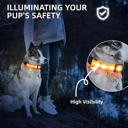 Super Bright LED Dog Collar, Waterproof Light up Collars(Orange, Large) - Image 3