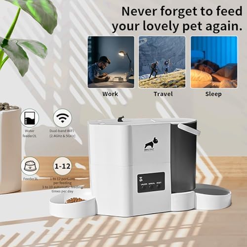 Automatic Cat Feeder 2-in-1 Cat Feeder and Gravity-Fed Water System - Image 3