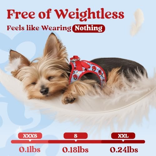 rabbitgoo Step-in Small Dog Harness, Puppy Vest for Small Sized Pet - Image 4