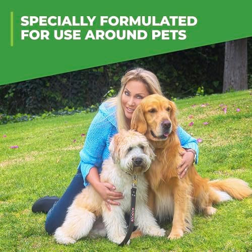 Simple Green Outdoor Odor Eliminator for Pets, Dogs, Ideal for Artificial Grass & Patio (32 oz Hose End Sprayer & 1 Gallon Refill) - Image 6