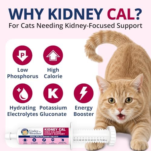 Under The Weather Pet Kidney Cal for Cats 80cc | High Calorie Cat Kidney Support Supplement with Low Phosphorus, Potassium Gluconate & Electrolytes | Vet Formulated Salmon Flavor Gel - Image 2