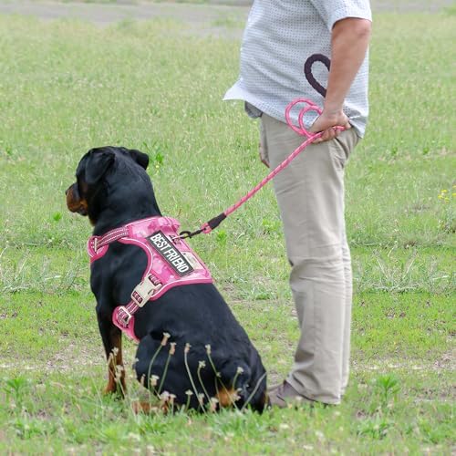 Beebiepet Tactical No Pull Dog Harness with Leash, X-Large, Pink Camo - Image 3