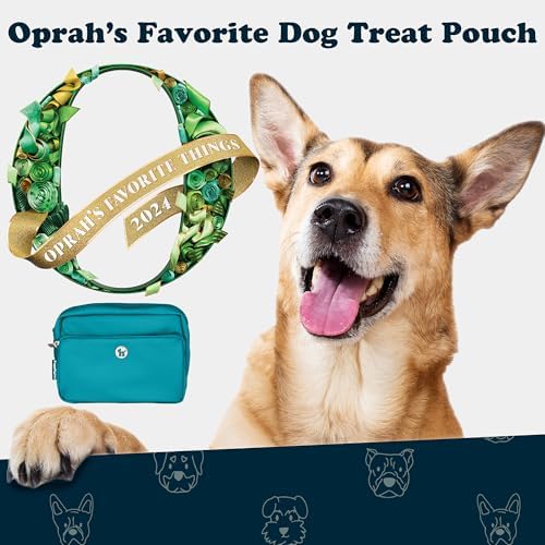 Puppington 3-in-1 Crossbody Dog Walking Bag & Treat Pouch with Matching Planet Safe Poop Bags & Built-In Dispenser - Dog Mom Gift for Puppy Training with Zippered Pockets (Lagoon Teal) - Image 3