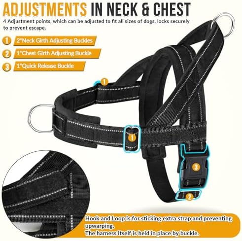 SlowTon No Pull Dog Harness and Leash Set - Heavy Duty, Soft Padded - Image 5