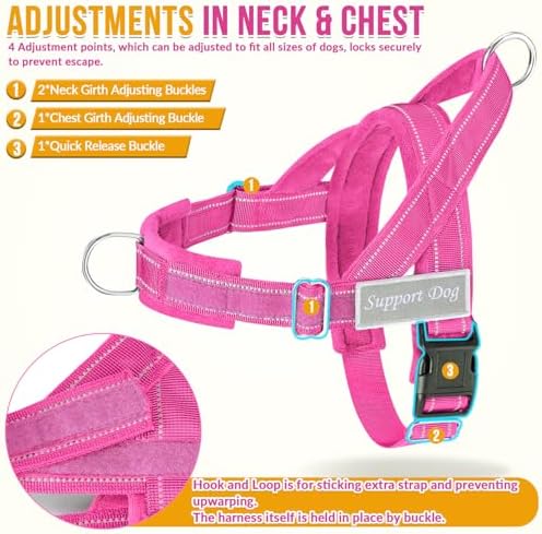 SlowTon No Pull Dog Harness and Leash Set - Heavy Duty, Soft Padded - Image 5
