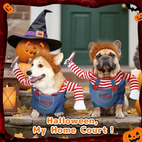 T2Y Dog Halloween Costumes, Chucky Dog Costume for Small Dog - Image 4