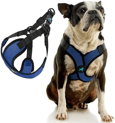 Gooby Comfort X Step-in Lite Harness, Choke-Free, Blue, Small - Image 3