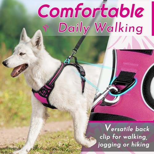 Eagloo Dog Harness for Large Dogs, No Pull Pet Vest with 2 Leash Clips - Image 3