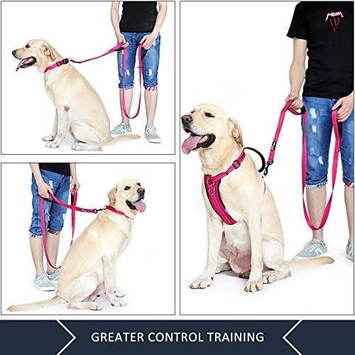 Plutus Pet Double Handle Dog Leash, 4 FT Long, for Medium Large Dogs - Image 3