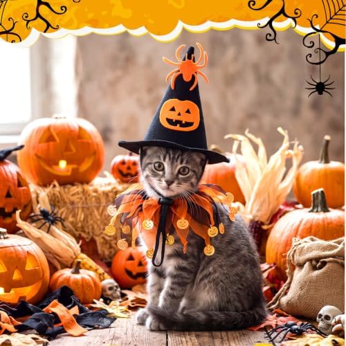 Abbylike 6 Pcs Halloween Pumpkin Costume for Cat, Small Dog - Image 2
