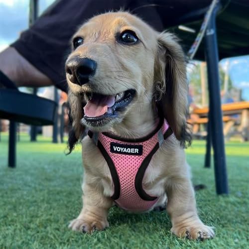 Voyager Step-in Air Dog Vest Harness - Pink/Black Trim, Large - Image 3