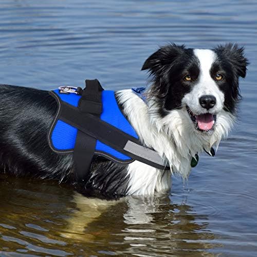 Bolux Dog Harness, No-Pull Reflective Dog Vest, Breathable Adjustable Pet Harness with Handle for Outdoor Walking - No More Pulling, Tugging or Choking (Blue, M) - Image 6