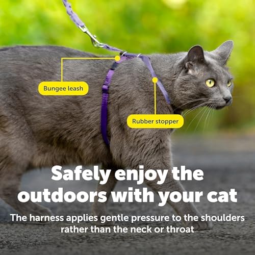 PetSafe Come With Me Kitty Harness and Bungee Cat Leash, Medium, LILAC/BRIGHT PURPLE, Model:CWMK-M-LLC - Image 5