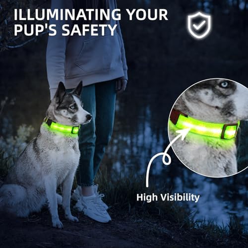 Super Bright LED Dog Collar, Waterproof Light up Collars(Green, S) - Image 5