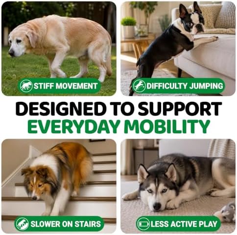 YUMA'S Glucosamine for Dogs - 240 Chews - Hip & Joint Supplement for Dogs - Image 4