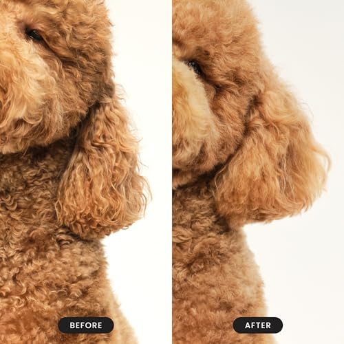 Pet Teezer Detangling Dog Brush for Light Shedding, Small, Lilac & Yellow - Image 5