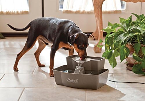 PetSafe Drinkwell Multi-Tier Pet Fountain, Cats & Dogs, Large - Image 2