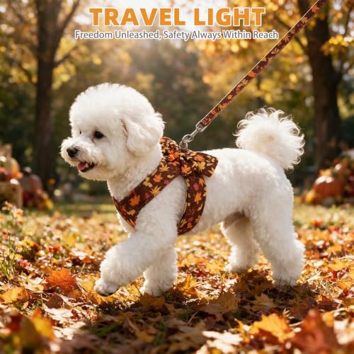 KOOLTAIL Fall Dog Harness and Leash Set for Small Medium Dogs Cats,Thanksgiving Cute Puppy Vest Harnesses with Bowtie, Step in No Pull Soft Mesh Padded Adjustable Harness for Extra-Samll Pet Boy Girl - Image 6