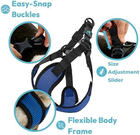 Gooby Comfort X Step-in Lite Harness, Choke-Free, Turquoise, Medium - Image 4