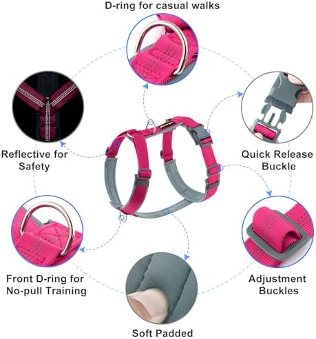 Plutus Pet No Pull Dog Harness, Adjustable Nylon Harness with Soft Padding - Image 2
