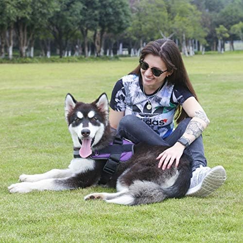 Bolux Dog Harness, No-Pull Reflective Dog Vest, Breathable Adjustable Pet Harness with Handle for Outdoor Walking - No More Pulling, Tugging or Choking (Purple, L) - Image 5