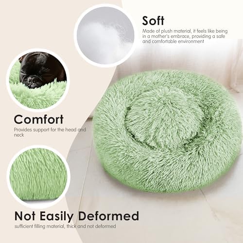 Hoewina Dog & Cat Bed, 20in Cat Beds for Indoor Cats (Green) - Image 4