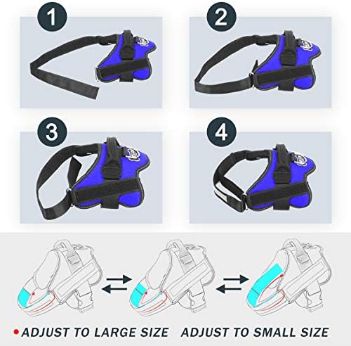 Bolux Dog Harness, No-Pull Reflective Dog Vest, Breathable Adjustable Pet Harness with Handle for Outdoor Walking - No More Pulling, Tugging or Choking (Blue, XS) - Image 3