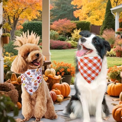 Fall Dog Bandanas XLarge 3PCS, Scarf for Boy and Girl - Image 6