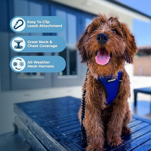 Best Pet Supplies Voyager Step-in Air All Weather Mesh Harness and Reflective Dog 5ft Leash Combo with Neoprene Handle, for Small, Medium and Large Breed Puppies - Royal Blue/Black Trim, X-Small - Image 5