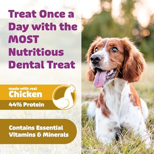 Yummy Combs Dog Dental Treats – Vet VOHC Approved – Delicious Chicken Protein – Removes Tartar with Cleaning Comb Shape – Dental Dog Treats for Extra Large Dogs (36oz, 18 Count) - Image 6
