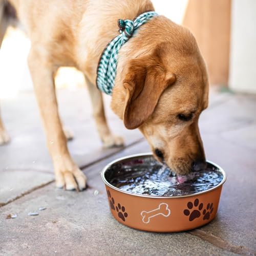Loving Pets Bella Dog Bowls- Stainless Steel Dog & Cat Bowls - Spill Proof Dog Food Bowl, Cat Bowl, Puppy Essentials & Pet Supplies Great for Home & Travel (Large 35-65 lbs, Copper) - Image 5
