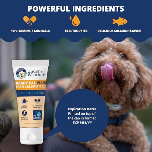 Under the Weather Pet Electrolytes Ready Cal Plus Gel for Dogs | Vet-Formulated High-Calorie Supplement for Dog & Puppy | Provides Essential Calories & Promotes Weight Gain | 3.5 Oz Tube Pack - Image 3