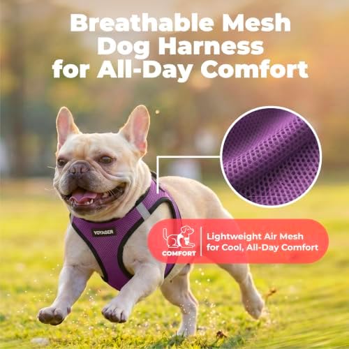 Voyager Step-in Air Dog Vest Harness - Purple/Black Trim, XX-Small - Image 5