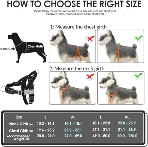 SlowTon No Pull Dog Harness and Leash Set - Heavy Duty, Soft Padded - Image 6