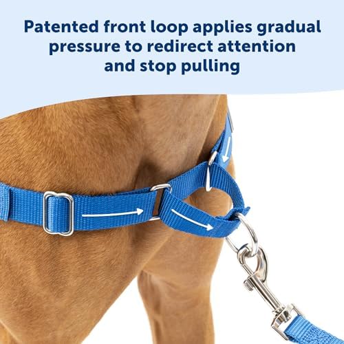 PetSafe Easy Walk Harness, No Pull Dog Harness, Black, Medium/Large - Image 6