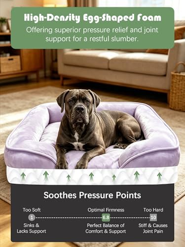 Spotted Play Orthopedic Dog Bed with Sides - Sofa Beds for Extra Large Dogs, Supportive Foam Pet Couch Bed with Washable Removable Cover, Waterproof Lining and Non-Slip Bottom, Purple - XXL - Image 4