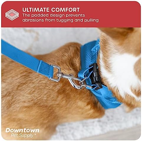 Downtown Pet Supply Step in Dog Harness for Small Dogs No Pull, Small, Cobalt - Adjustable Harness with Padded Mesh Fabric and Reflective Trim - Buckle Strap Harness for Dogs - Image 6